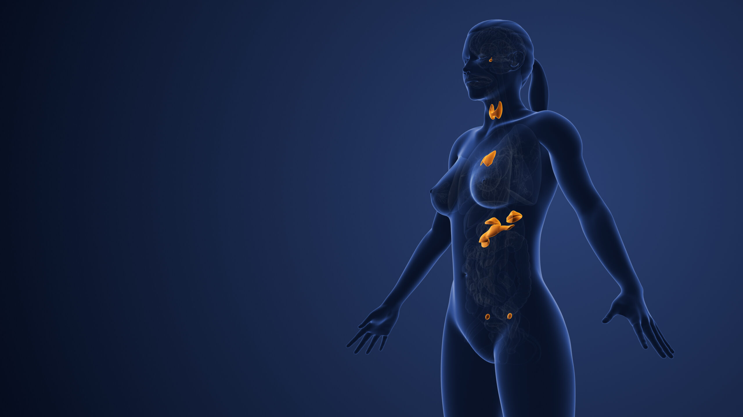 Interdisziplinäre Diagnostik und Behandlung von Erkrankungen der Schilddrüse und Nebenniere